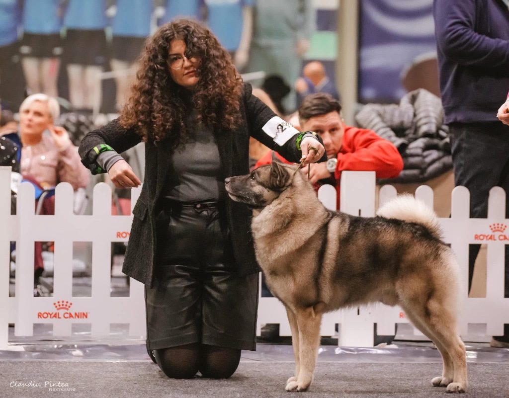 WhatsApp Image 2025-11-28 at 13.01.35 (6)