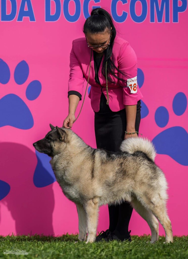 WhatsApp Image 2025-11-28 at 13.01.35 (7)