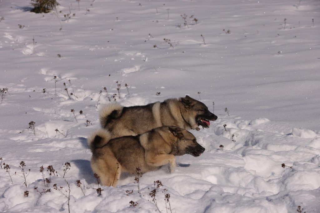 WhatsApp Image 2025-11-28 at 13.01.36 (1)