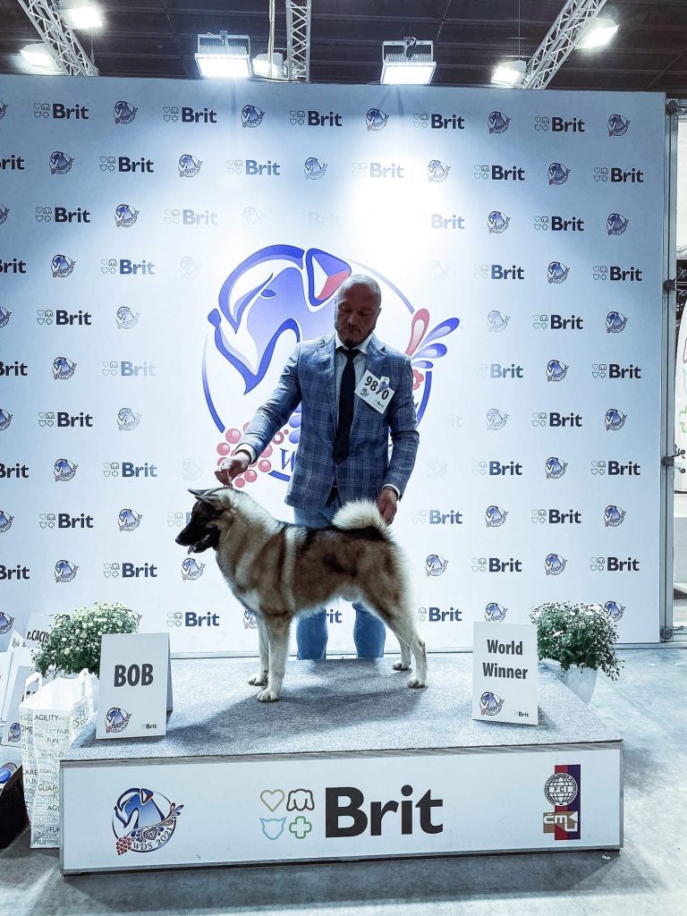 WhatsApp Image 2025-11-28 at 13.01.36 (3)