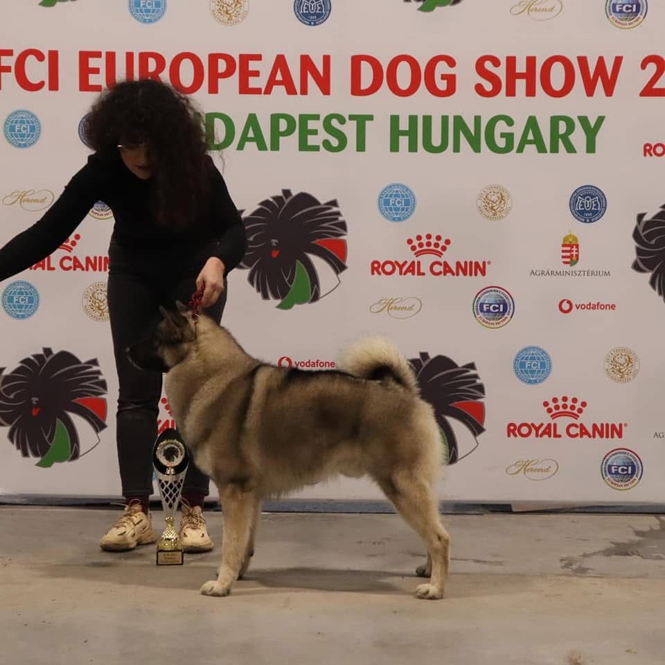 WhatsApp Image 2025-11-28 at 13.01.36 (4)