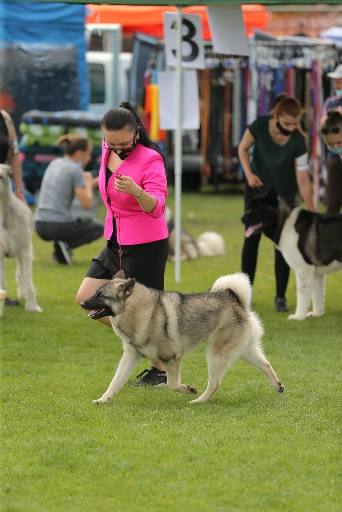 WhatsApp Image 2025-11-28 at 13.01.36 (5)