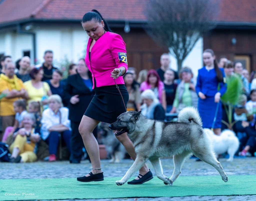 WhatsApp Image 2025-11-28 at 13.09.28 (1)