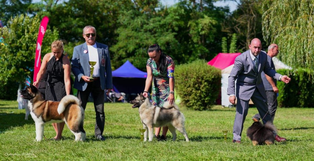 WhatsApp Image 2025-11-28 at 13.09.28 (2)