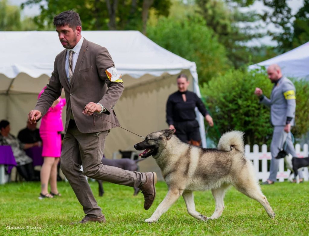 WhatsApp Image 2025-11-28 at 13.09.28 (3)