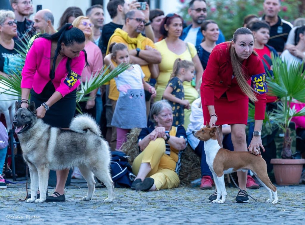 WhatsApp Image 2025-11-28 at 13.09.28 (4)