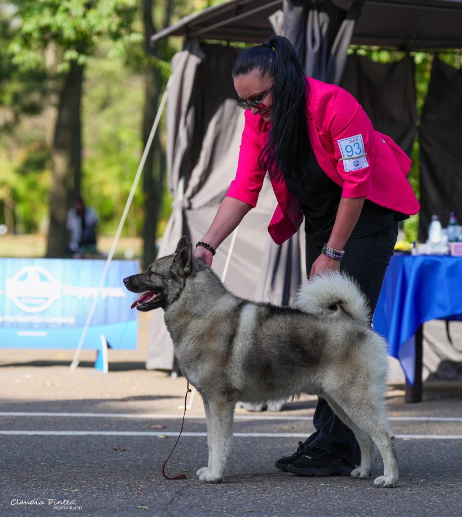 WhatsApp Image 2025-11-28 at 13.09.28