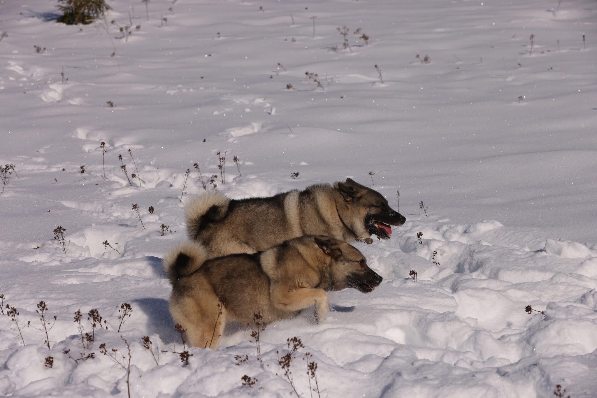 WhatsApp Image 2025-11-28 at 13.13.22 (1)