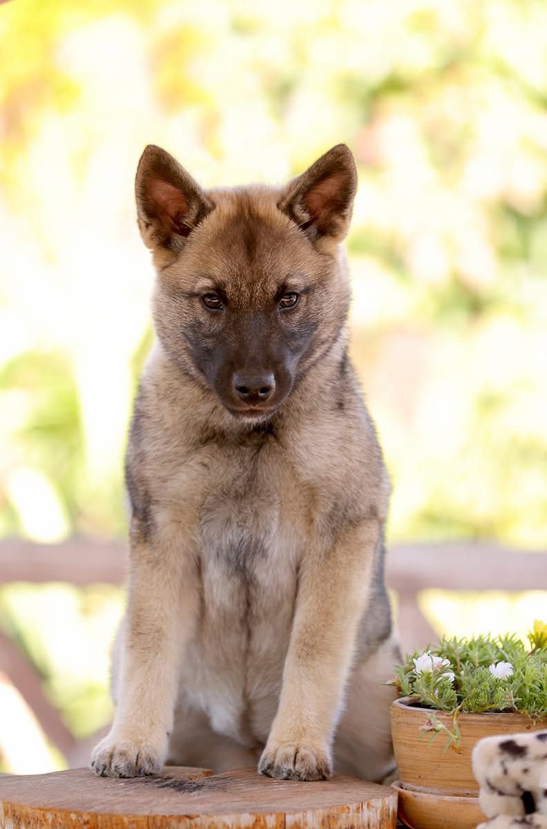 WhatsApp Image 2025-11-28 at 13.13.24 (1)