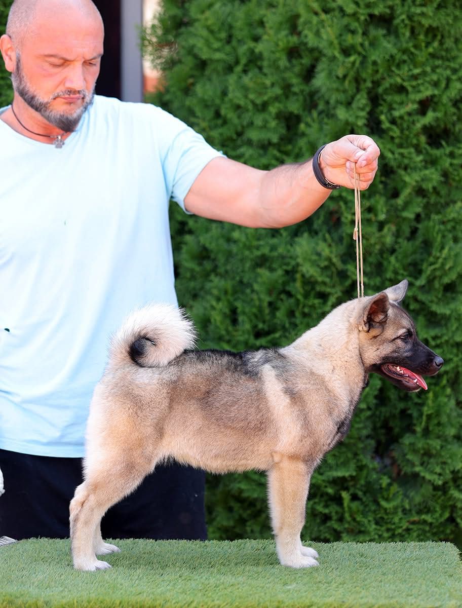 WhatsApp Image 2025-11-28 at 13.13.24 (2)