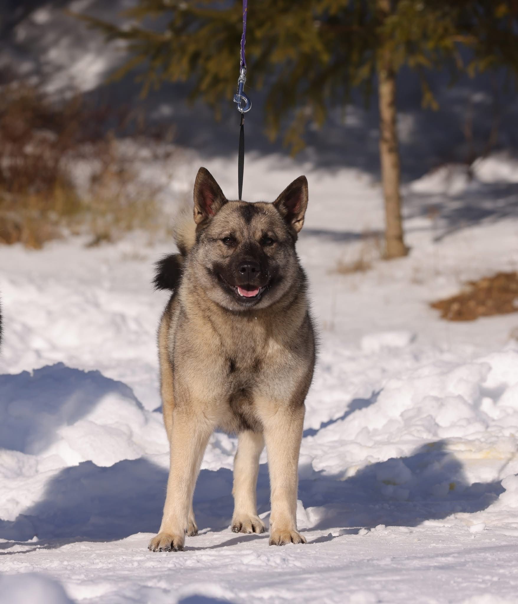 WhatsApp Image 2025-11-28 at 13.13.24