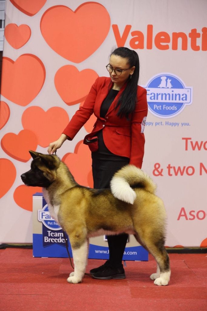 WhatsApp Image 2025-11-28 at 19.51.38 (1)