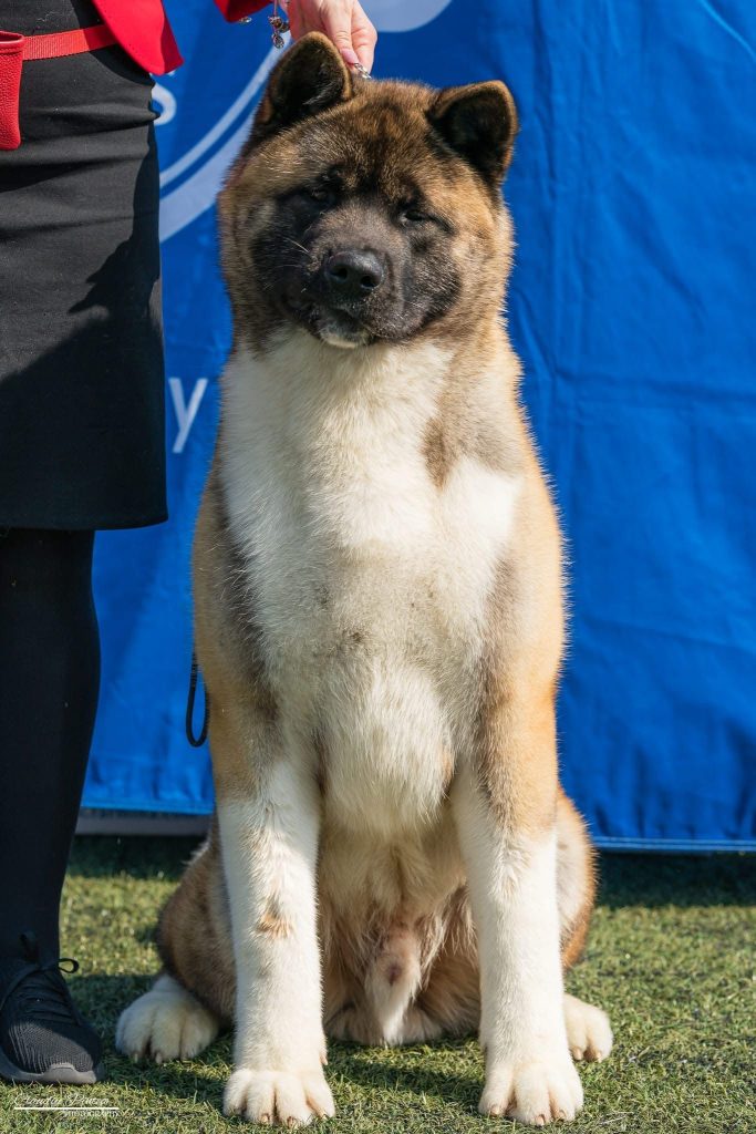 WhatsApp Image 2025-11-28 at 19.51.38 (2)