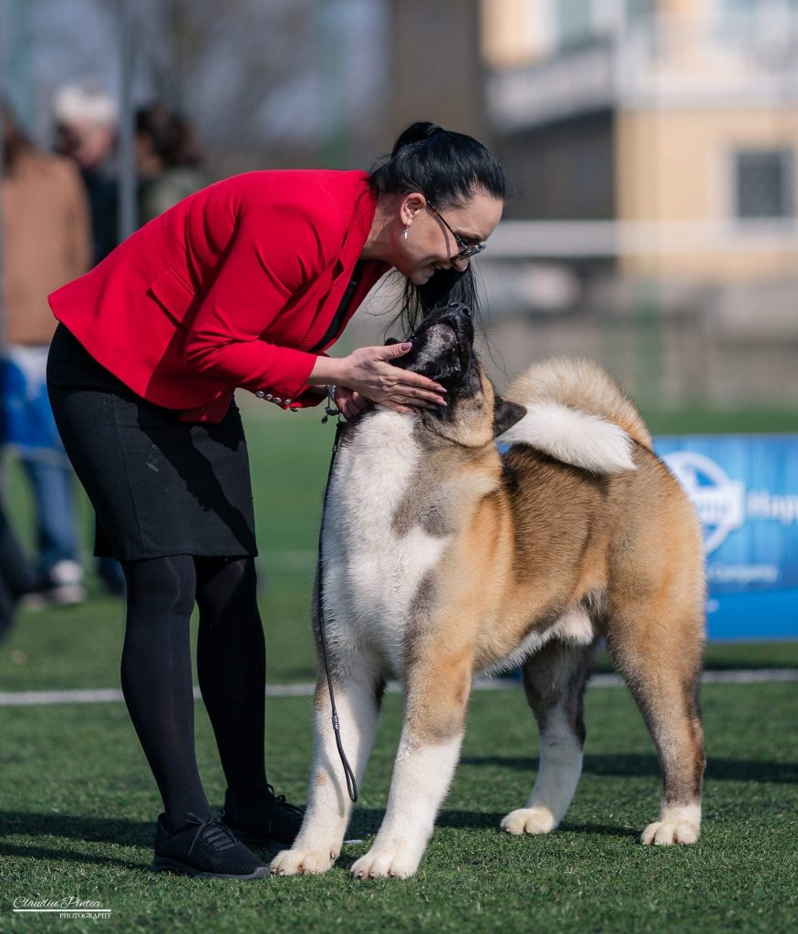 WhatsApp Image 2025-11-28 at 19.51.38 (3)