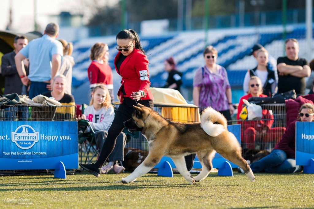 WhatsApp Image 2025-11-28 at 19.51.38 (4)