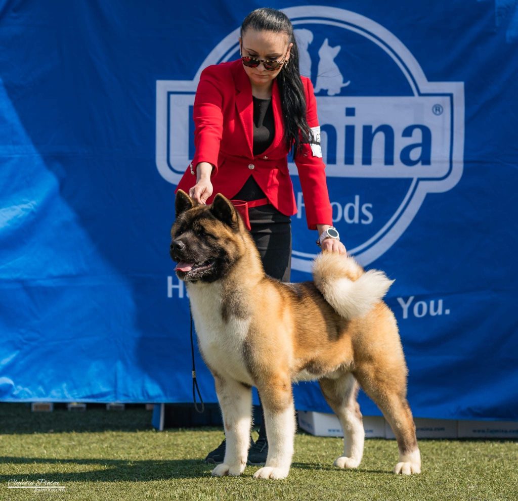 WhatsApp Image 2025-11-28 at 19.51.38 (5)