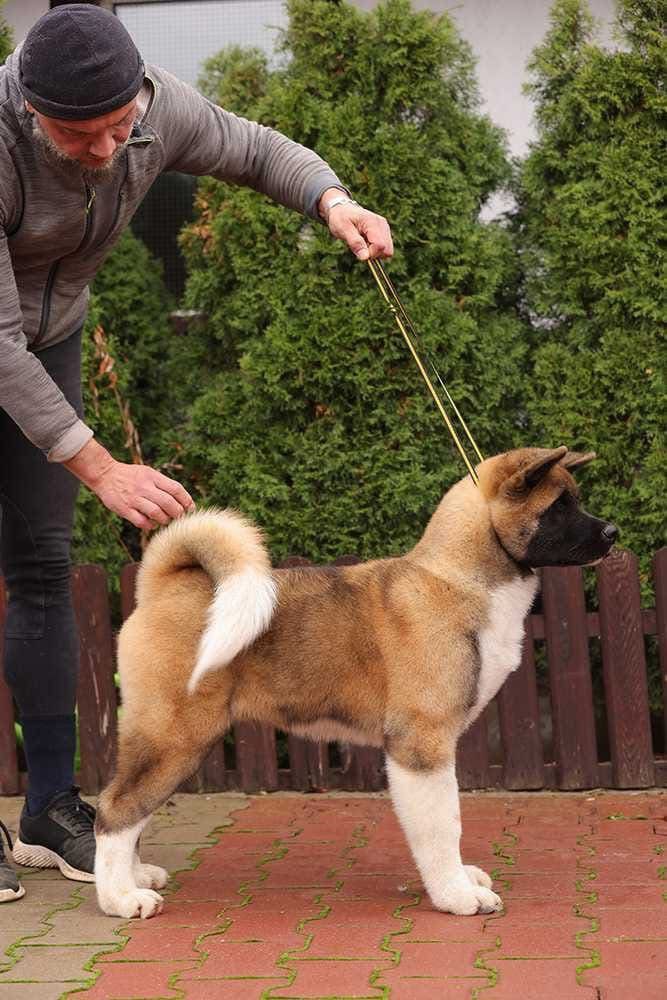 WhatsApp Image 2025-11-28 at 19.51.38