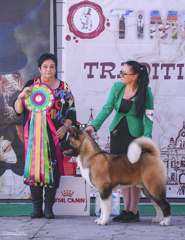 WhatsApp Image 2025-11-28 at 19.51.39 (1)