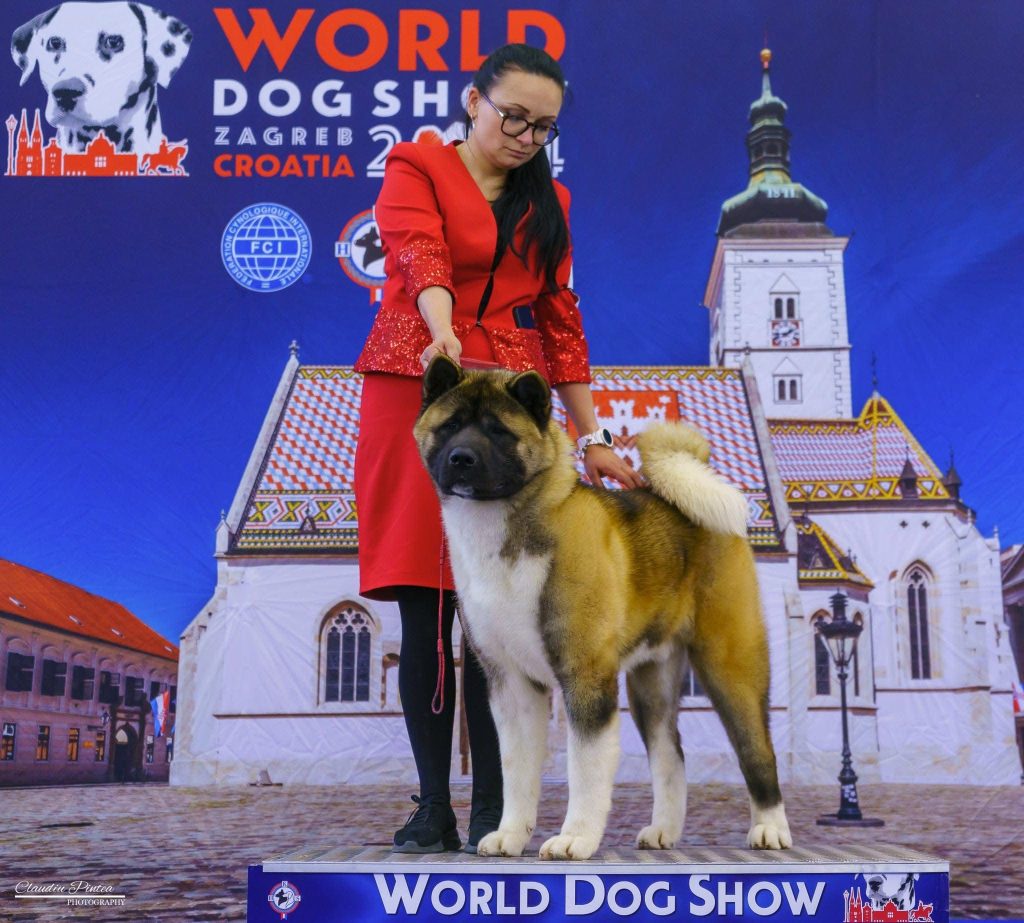 WhatsApp Image 2025-11-28 at 19.51.39