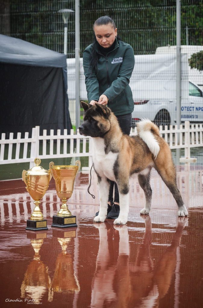 WhatsApp Image 2025-11-28 at 19.51.39 (2)