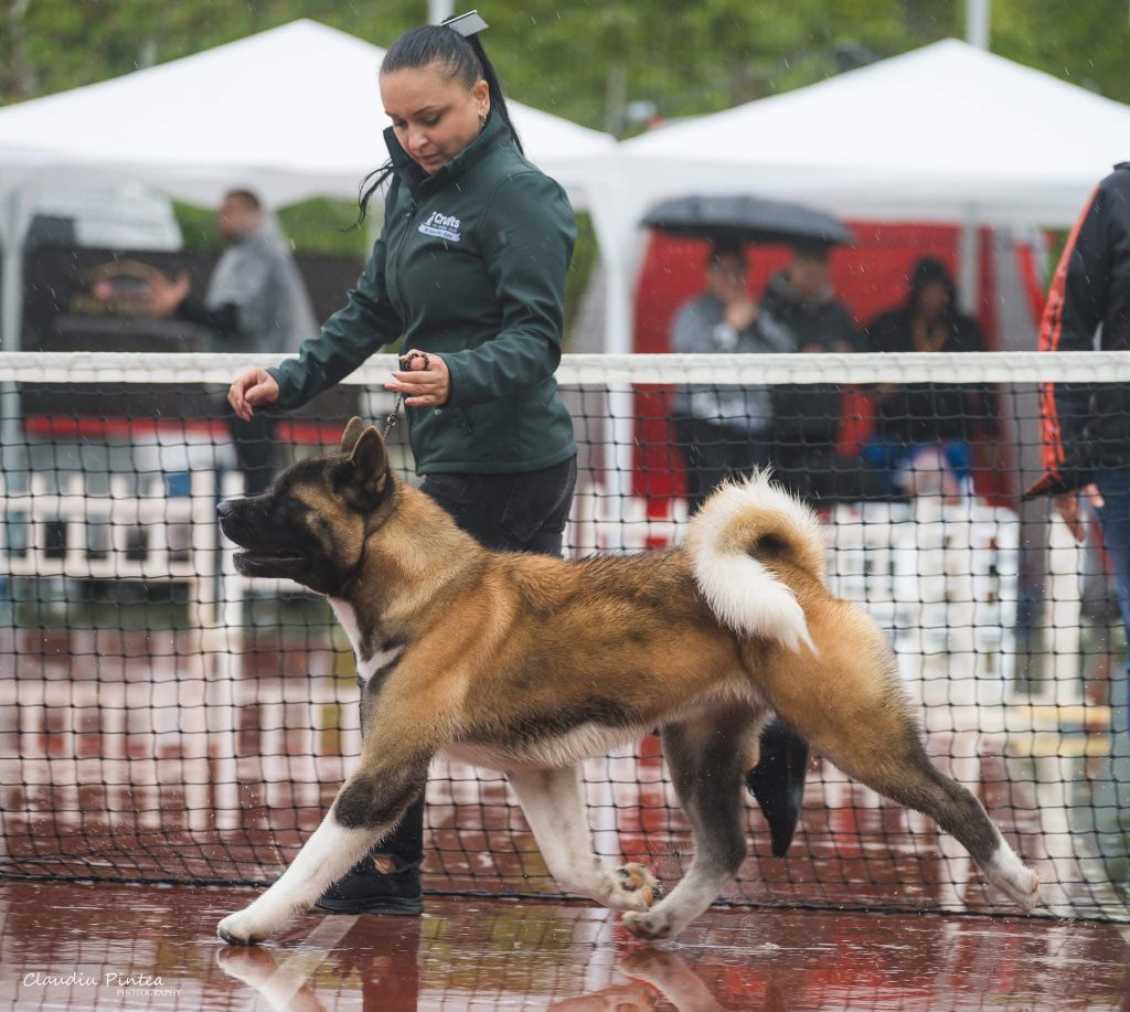 WhatsApp Image 2025-11-28 at 19.51.39 (3)