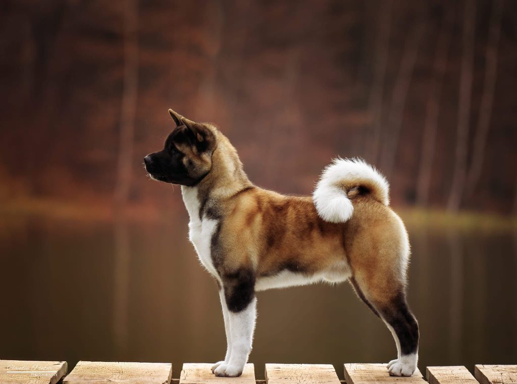 WhatsApp Image 2025-11-28 at 19.51.40 (1)