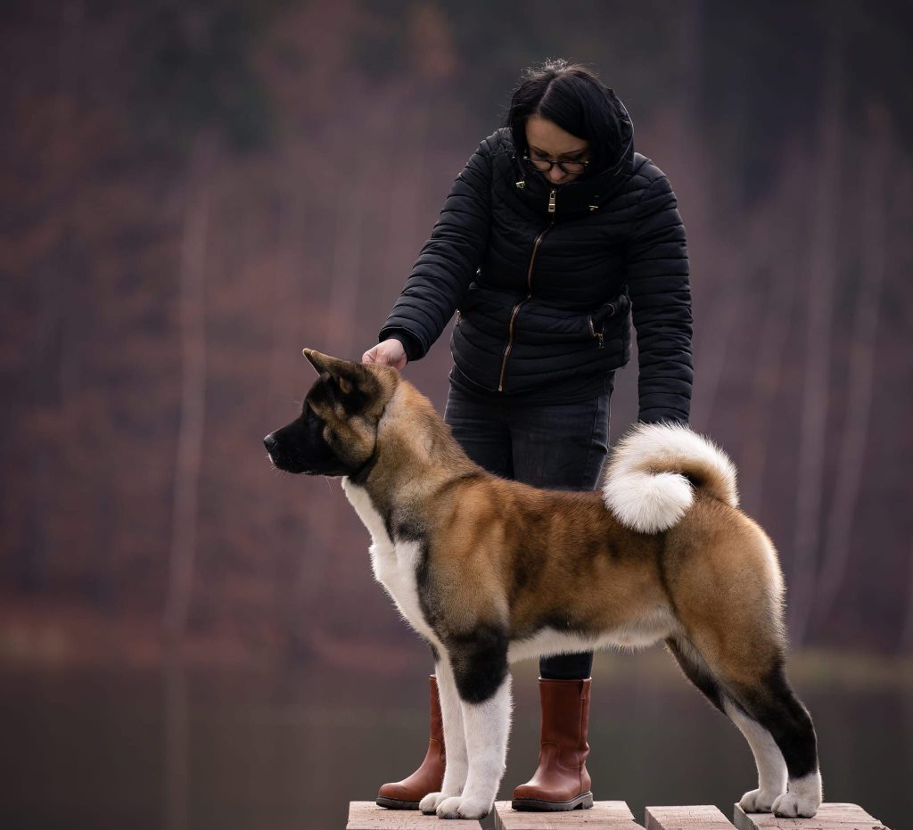 WhatsApp Image 2025-11-28 at 19.51.40 (2)