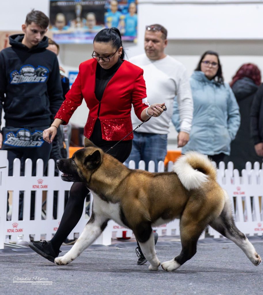 WhatsApp Image 2025-11-28 at 19.51.40 (3)