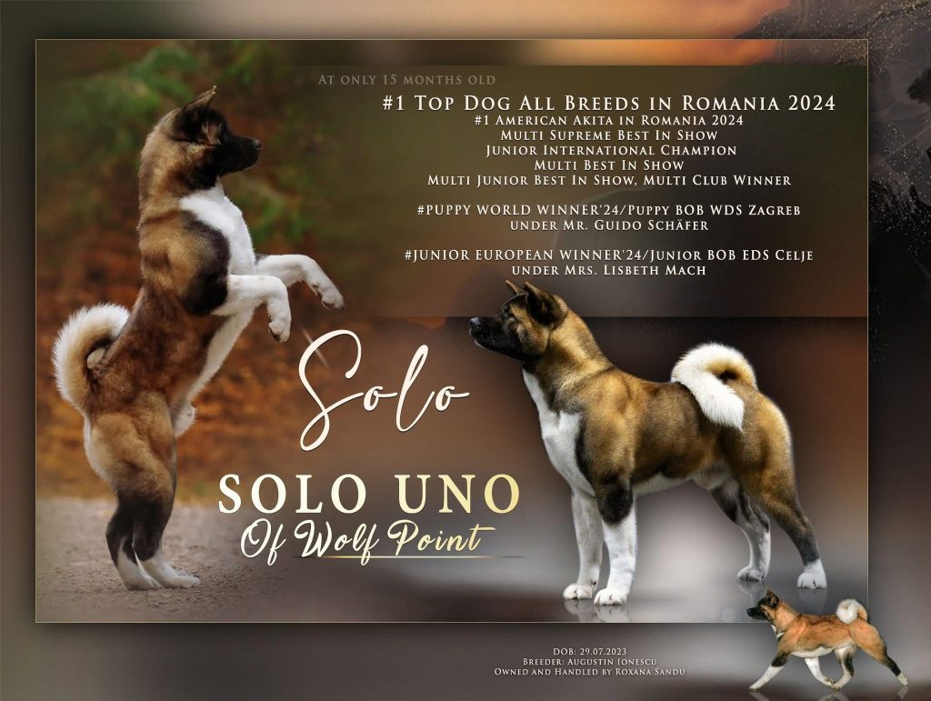 WhatsApp Image 2025-11-28 at 19.51.40 (4)