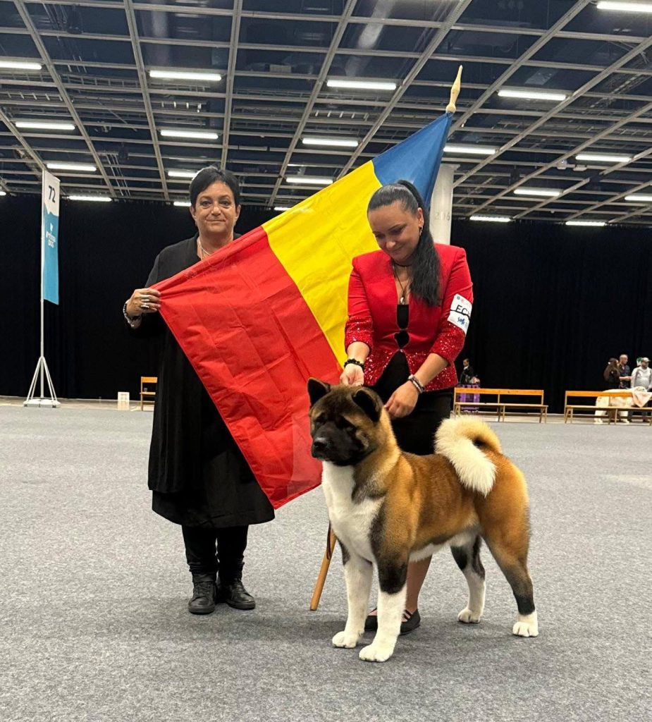 WhatsApp Image 2025-11-28 at 19.51.40 (5)