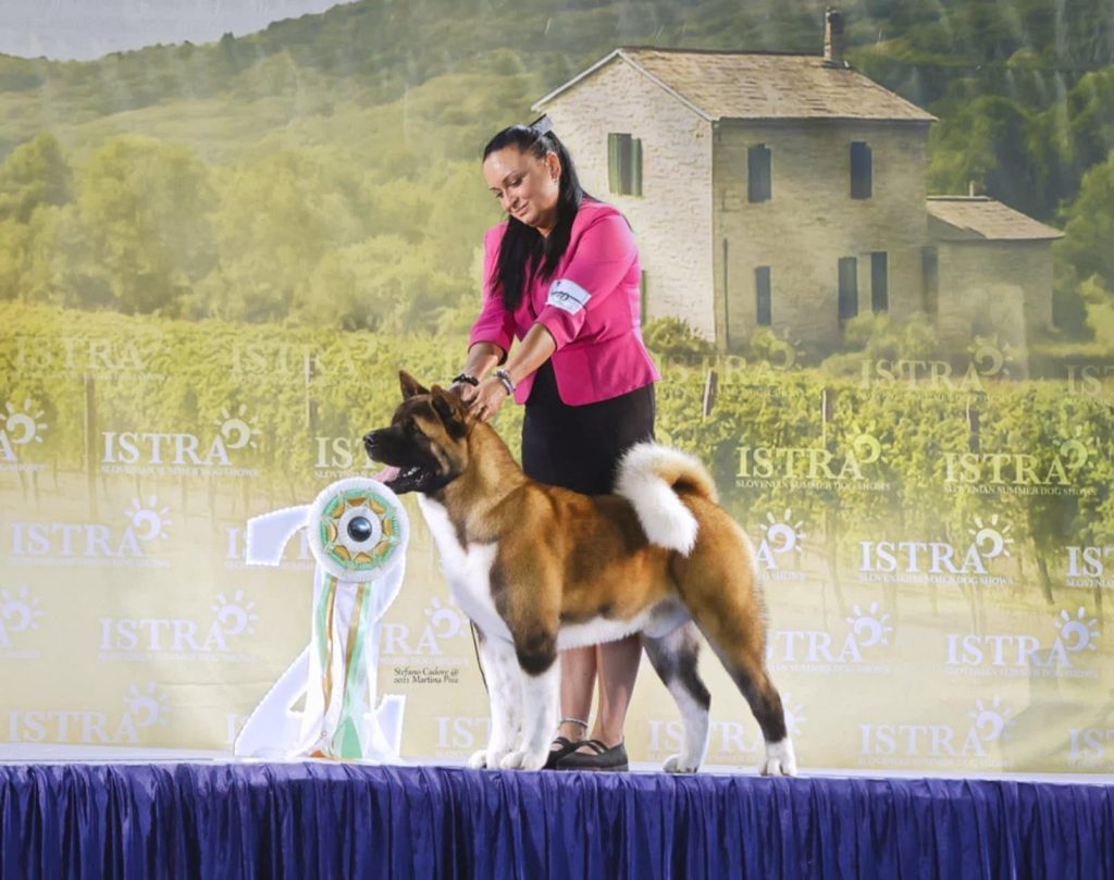 WhatsApp Image 2025-11-28 at 19.51.40 (6)