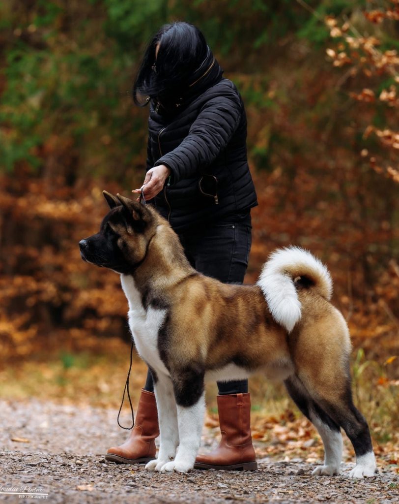 WhatsApp Image 2025-11-28 at 19.51.40