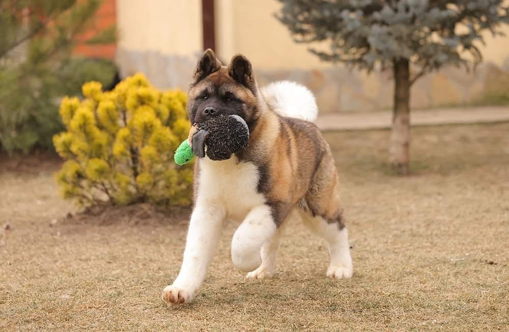 WhatsApp Image 2025-11-28 at 20.04.51 (1)