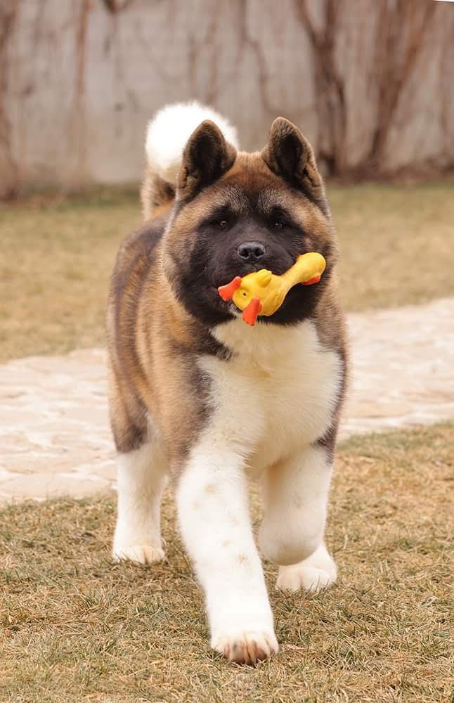 WhatsApp Image 2025-11-28 at 20.04.51