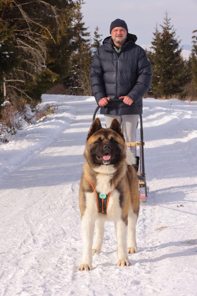 WhatsApp Image 2025-11-28 at 20.04.52 (1)