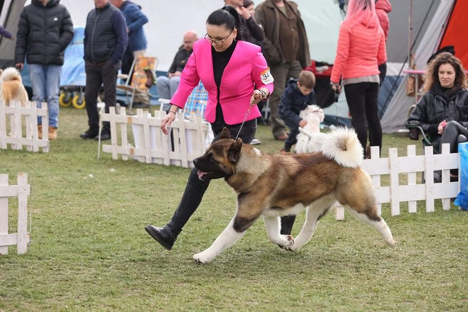 WhatsApp Image 2025-11-28 at 20.04.52 (2)