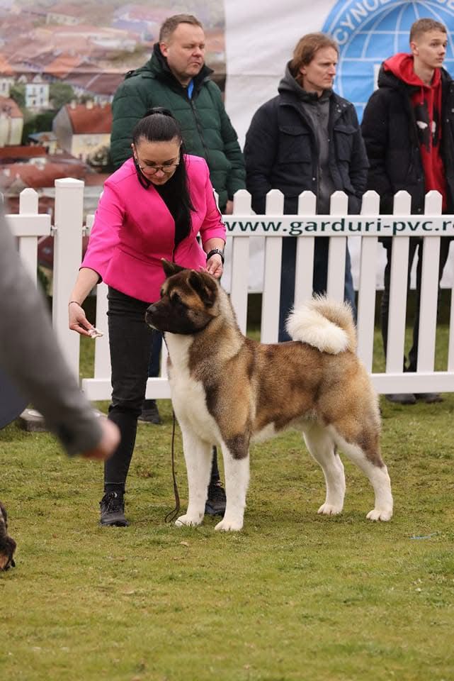 WhatsApp Image 2025-11-28 at 20.04.52 (3)