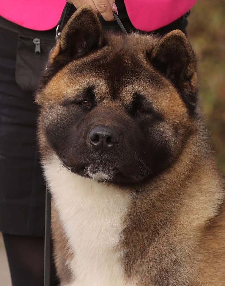 WhatsApp Image 2025-11-28 at 20.04.52