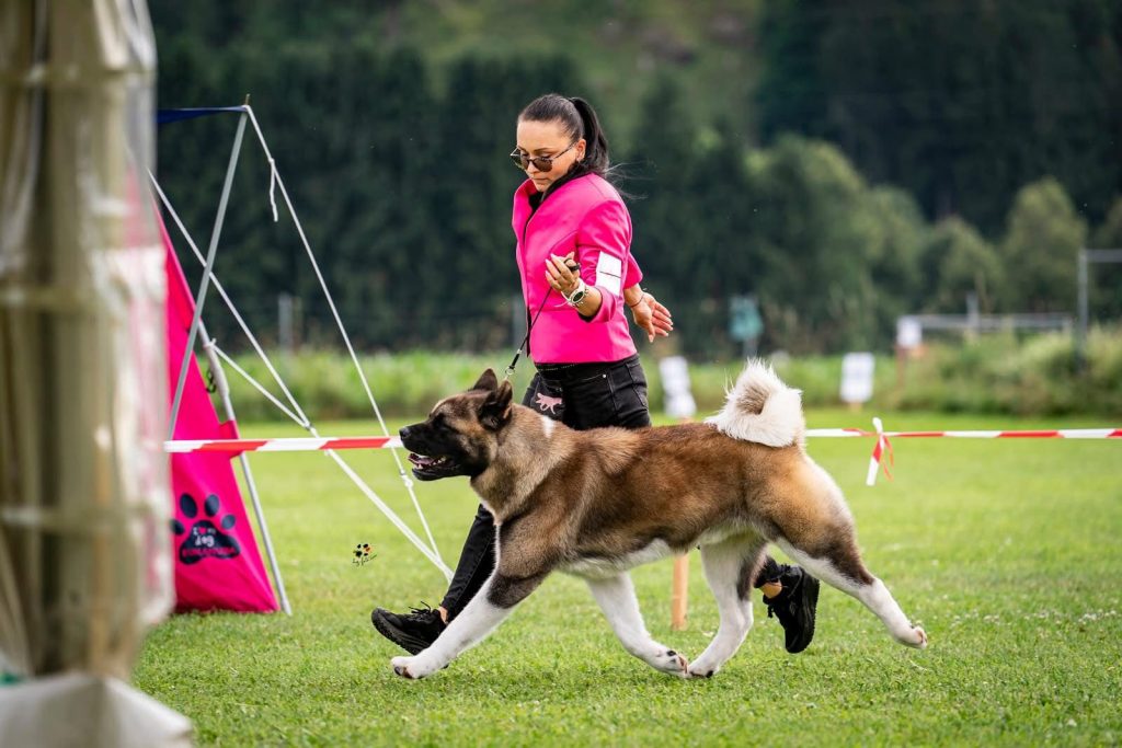 WhatsApp Image 2025-11-28 at 20.04.53