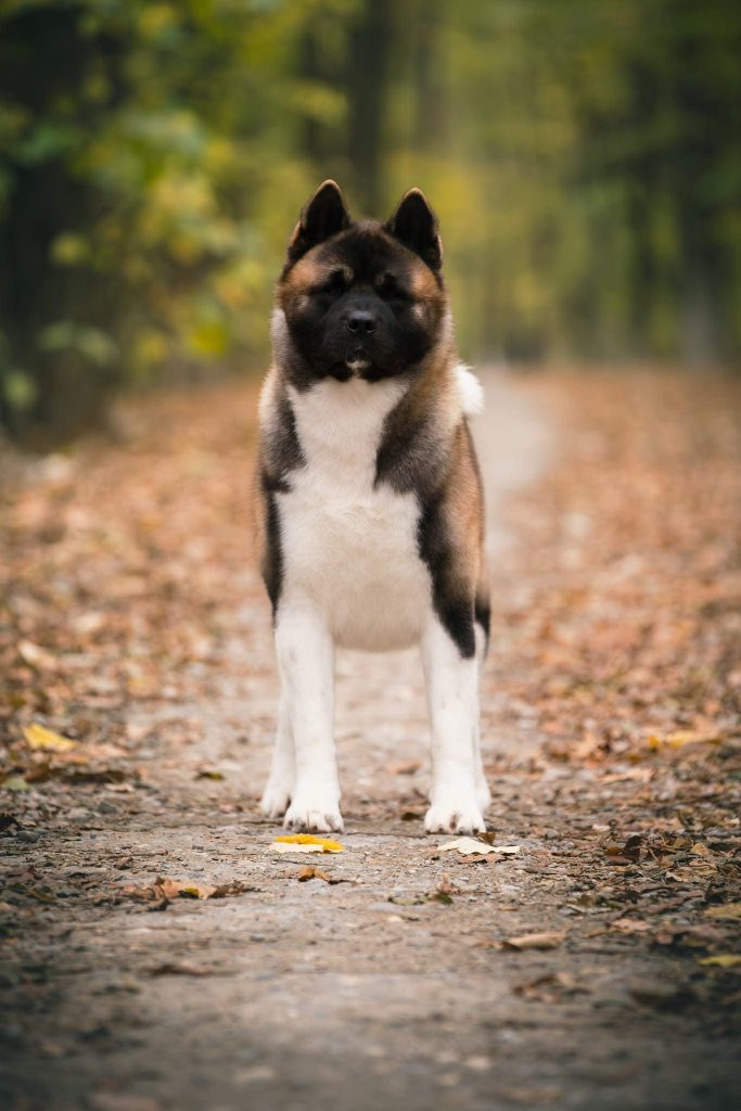 WhatsApp Image 2025-11-28 at 20.04.53 (2)