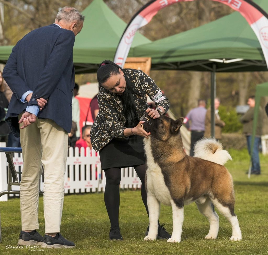 WhatsApp Image 2025-11-28 at 20.04.53 (4)