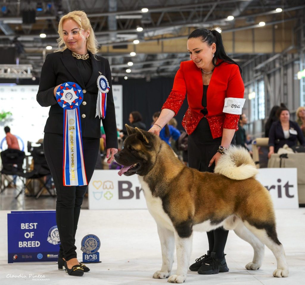 WhatsApp Image 2025-11-28 at 20.04.53 (5)