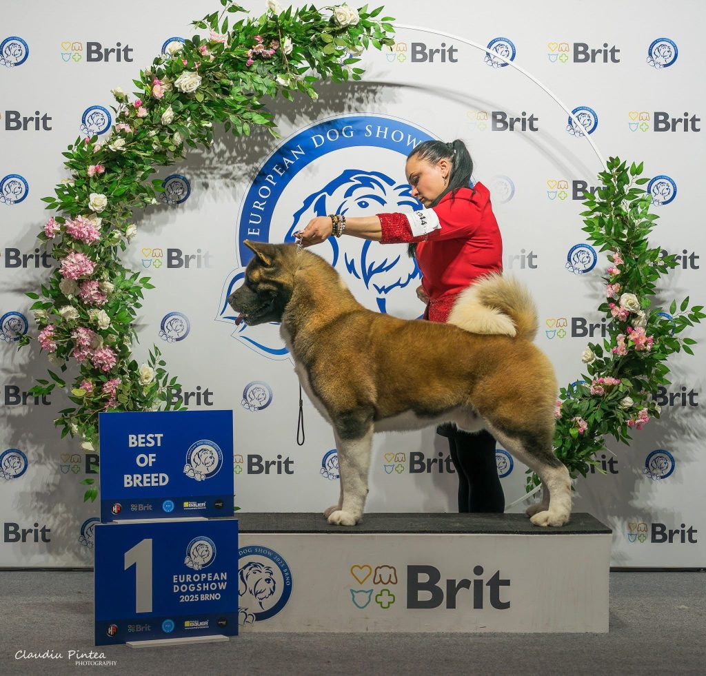 WhatsApp Image 2025-11-28 at 20.04.53 (6)