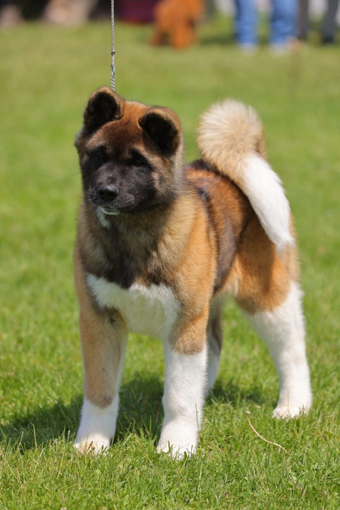 WhatsApp Image 2025-11-28 at 20.11.41 (1)