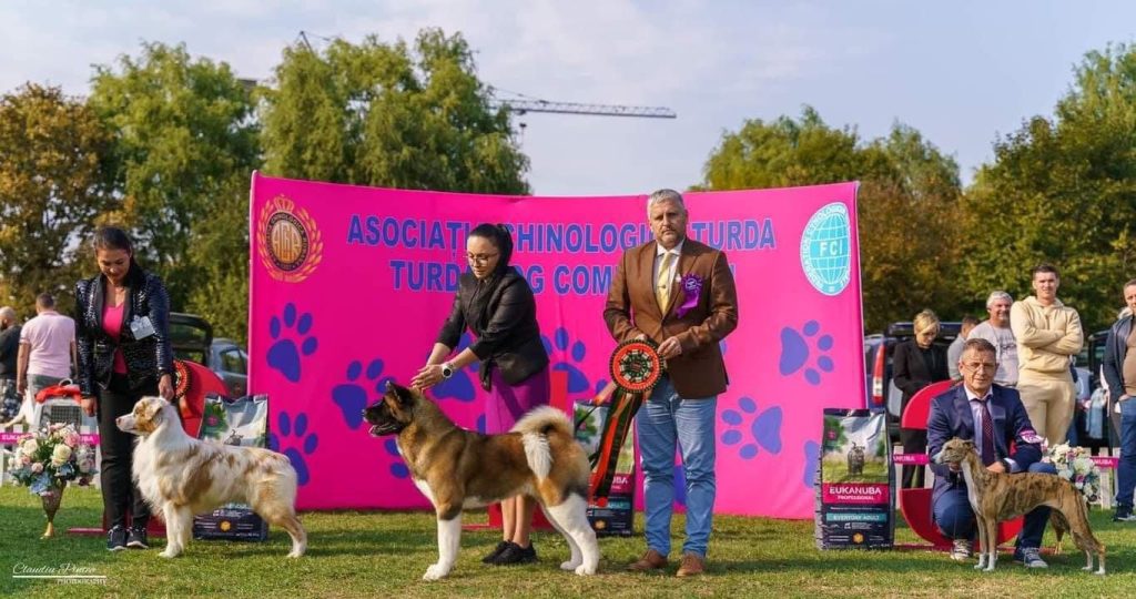 WhatsApp Image 2025-11-28 at 20.11.41 (2)