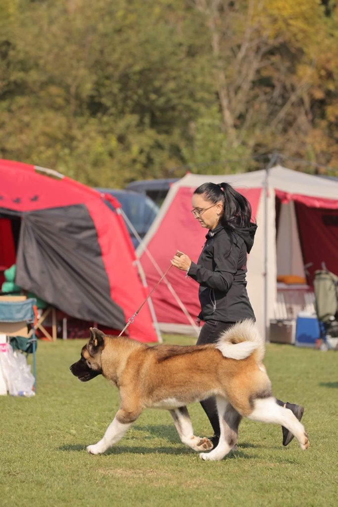 WhatsApp Image 2025-11-28 at 20.11.41 (3)