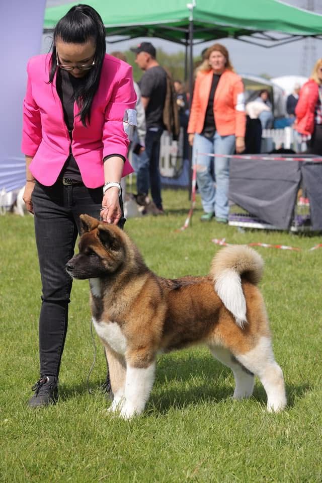 WhatsApp Image 2025-11-28 at 20.11.41