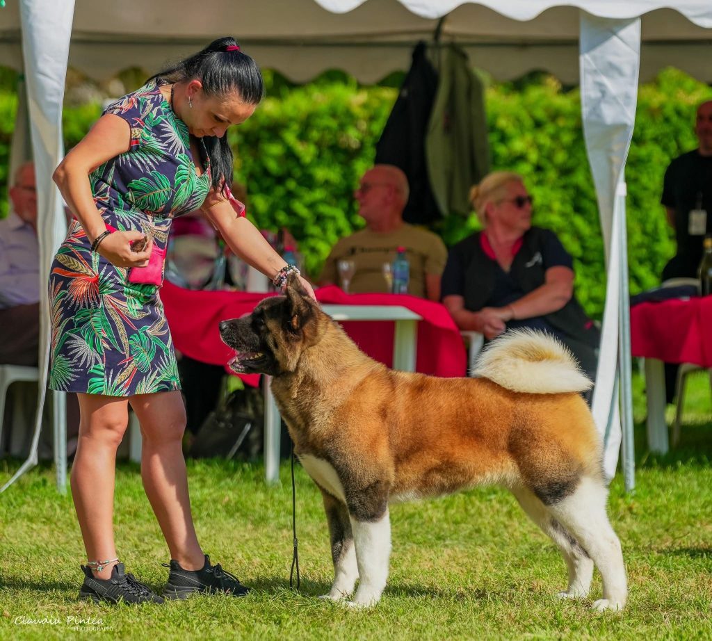 WhatsApp Image 2025-11-28 at 20.11.42 (1)