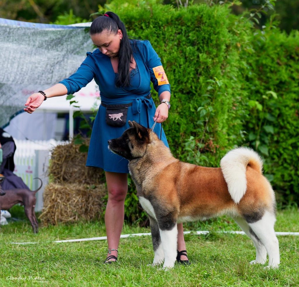 WhatsApp Image 2025-11-28 at 20.11.42