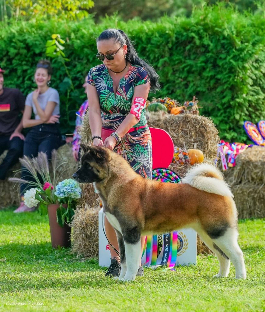 WhatsApp Image 2025-11-28 at 20.11.42 (2)